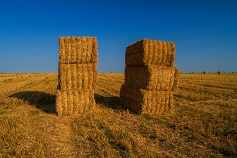 Hay bales Foto stock