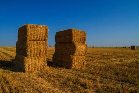 Hay bales Stock Photos