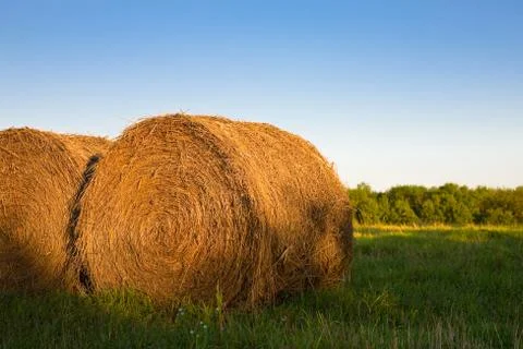 Hay bales Stock Photos