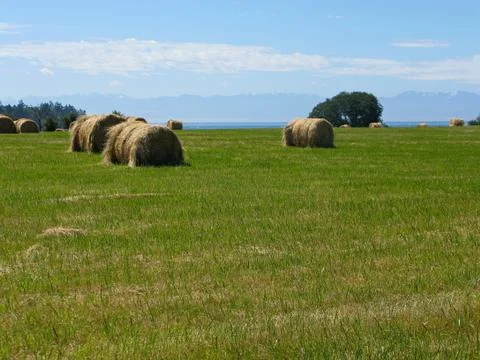 Hay bales Stock Photos