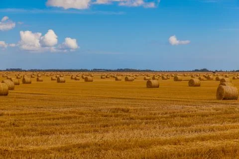 Hay bales Stock Photos