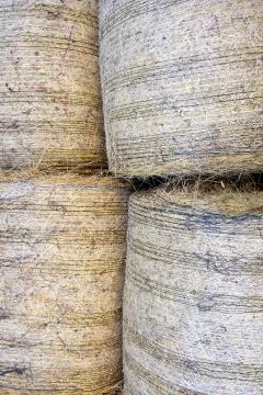 Hay bales Stock Photos
