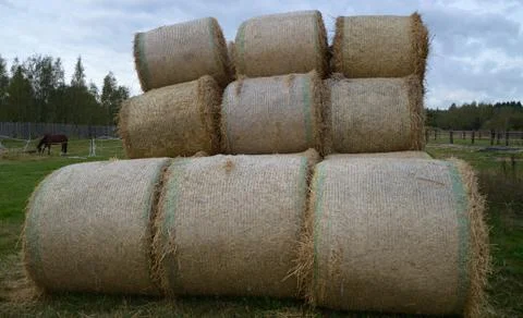 Hay bales Stock Photos