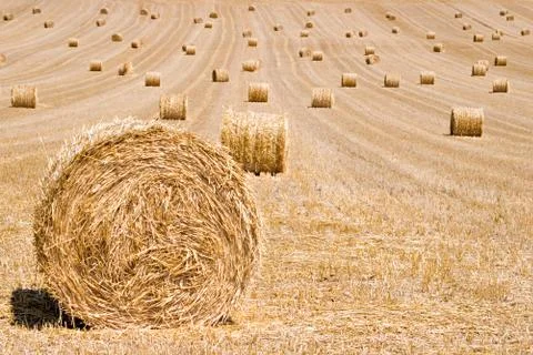 Hay Bales Stock Photos