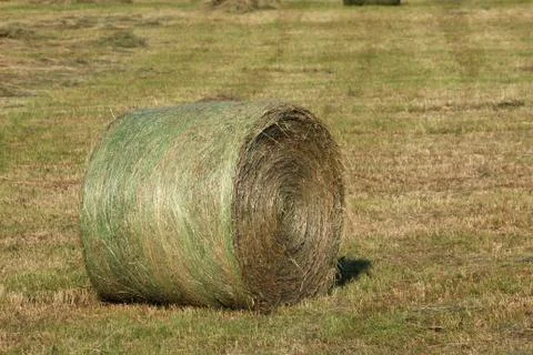 Hay bales. 스톡 사진