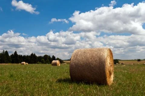 Hay bales Stock Photos