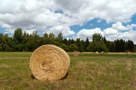 Hay bales Stock Photos