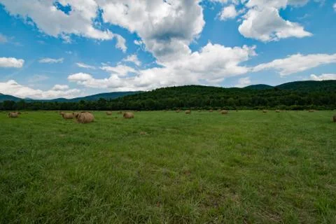 Hay Bales Stock Photos