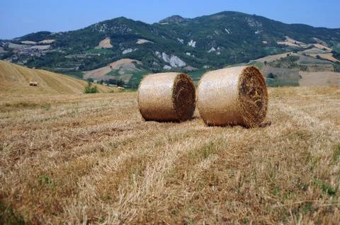 Hay bales Stock Photos