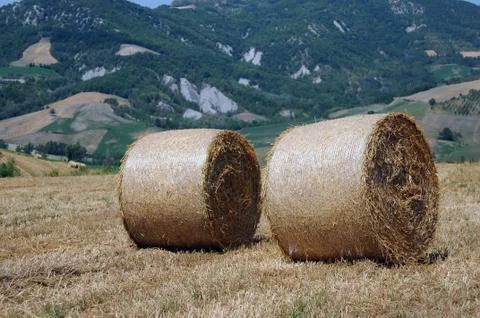Hay bales Stock Photos