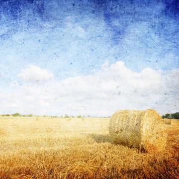 Hay bales Stock Photos