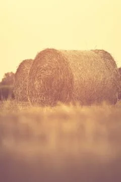 Hay bales Stock Photos