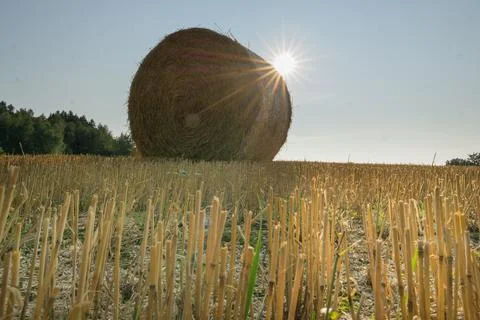 Hay bales Stock Photos