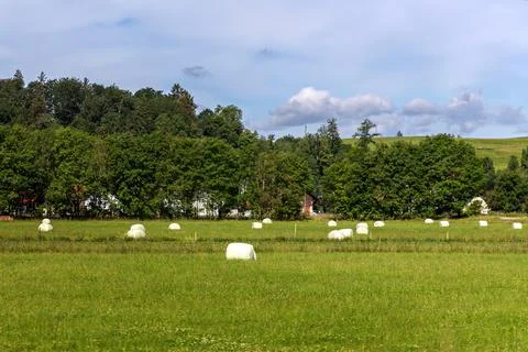 Hay bales Stock Photos