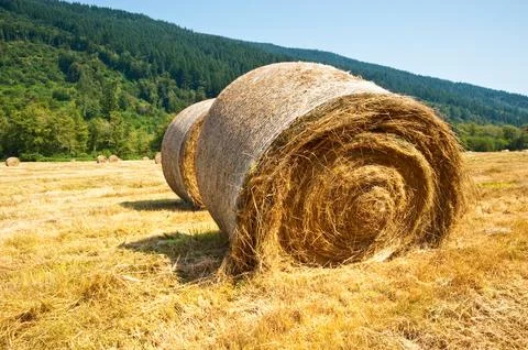 Hay bales Stock Photos