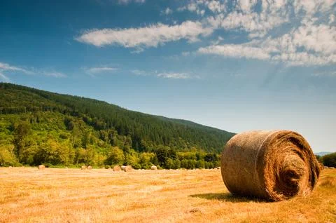 Hay bales Stock Photos