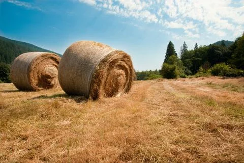 Hay bales Stock Photos