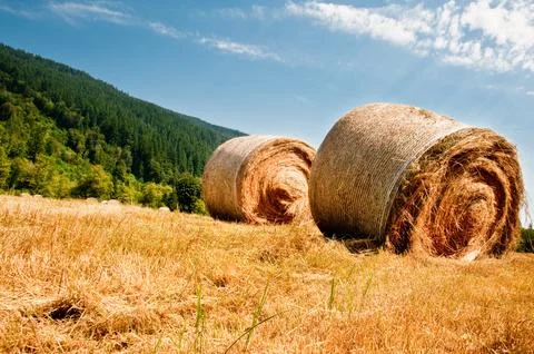 Hay bales Stock Photos