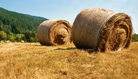 Hay bales Stock Photos