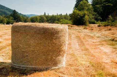 Hay bales Stockfoto's