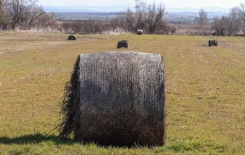 Hay bales on a plain Stock Photos