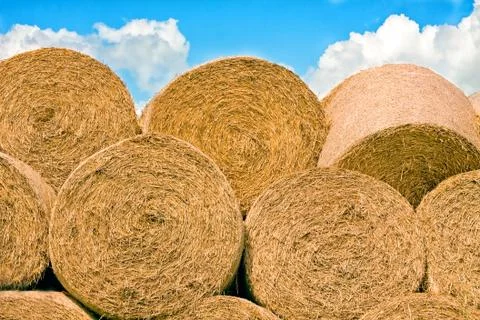 Hay bales stacked in a pile, with blue sky above Stock Photos