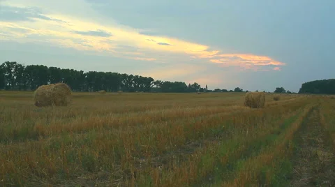 Hay bales on a sunset Stock Footage 53497643