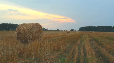 Hay bales on a sunset Stock Footage 53797555