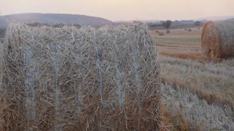 Hay bales on a sunset Stock Footage 66332942