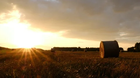Hay bales in the sunset Stock Footage 122001999