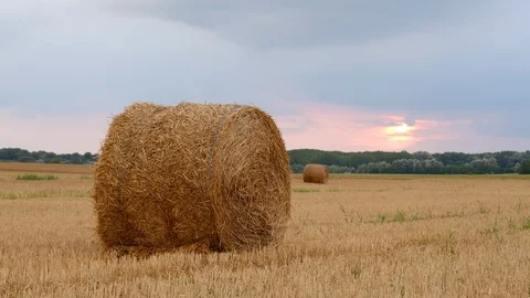 Hay bales in the sunset Stock Footage 122002063