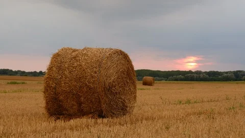 Hay bales in the sunset Stock Footage 122002161