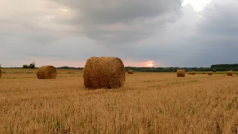 Hay bales in the sunset Stock Footage 122002174