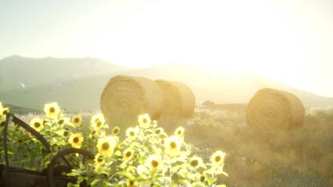 Hay bales in the sunset Stock Footage 152542461