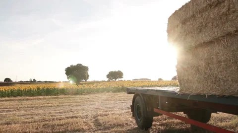 Hay bales on a trailer. Stock Footage 27479138