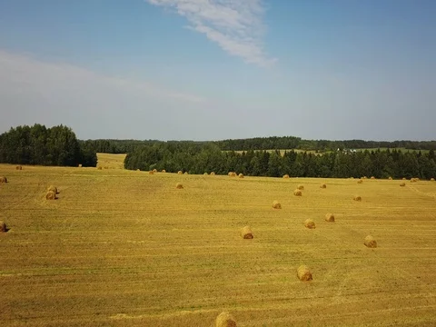 Hay bales under blue sky with cirrus clouds. Stock Footage 80430302
