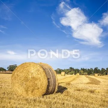 Hay bales under deep blue summer sky Stock-Fotos