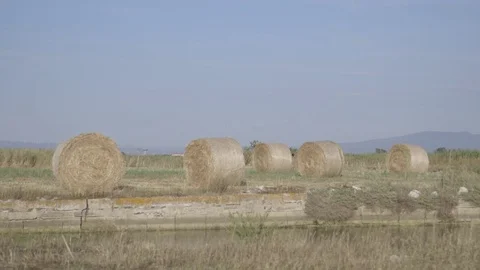Hay bales in the wheat field Stock Footage 71201797