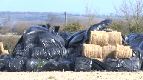 Hay bales in wind Stock Footage 49078644
