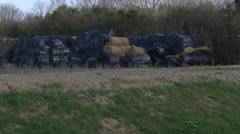 Hay bales in wind Stock Footage 49078678