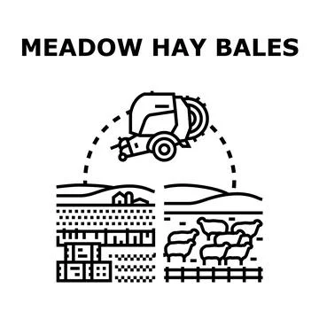 Hay baling process producing feed for livestock Stock Illustration