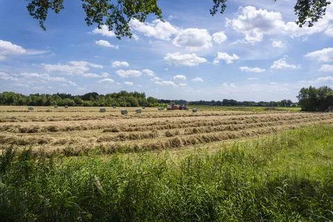 Hay Baling Scene Stock Photos