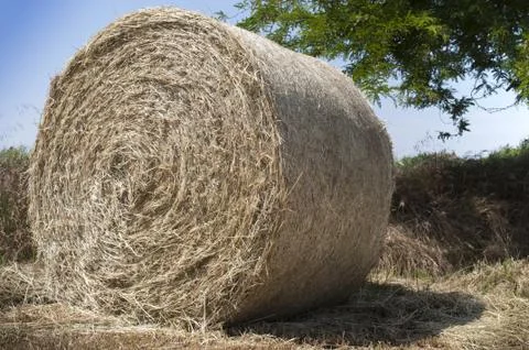 Hay ball shadow Stock Photos