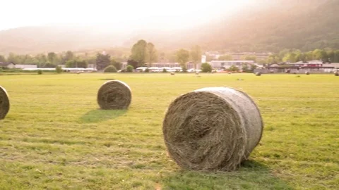 Hay balls Stock Footage 110707701