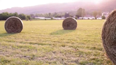 Hay balls Stock Footage 110707732