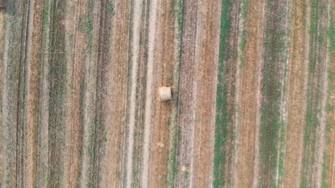 Hay bay rolls scattered over the farm field. Aerial high angle vertical 動画素材 125200011