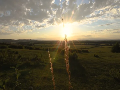 Hay blowing in the wind at sunset Stock Footage 79216823