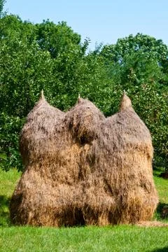 Hay with the blue cloudy sky Stock Photos