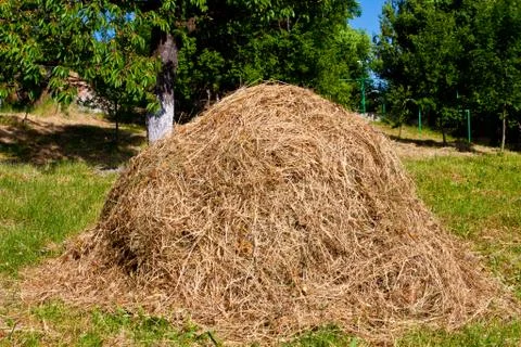 Hay with the blue cloudy sky Stock Photos