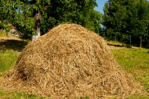 Hay with the blue cloudy sky Stock Photos